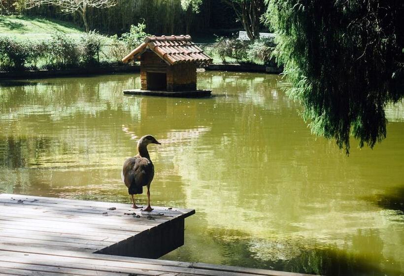 هتل Pousada Tucano Do Cuiabá