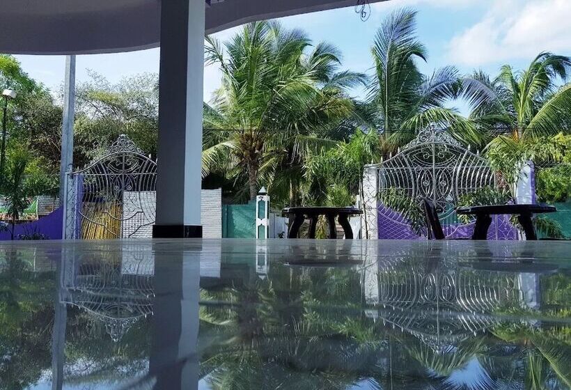 Pension Snp Star Guest House