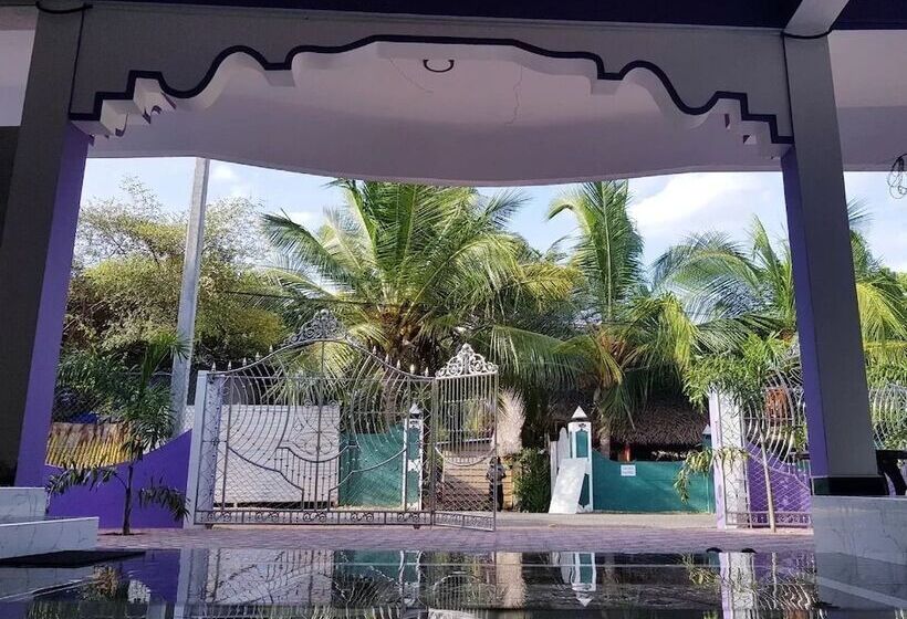 Pension Snp Star Guest House