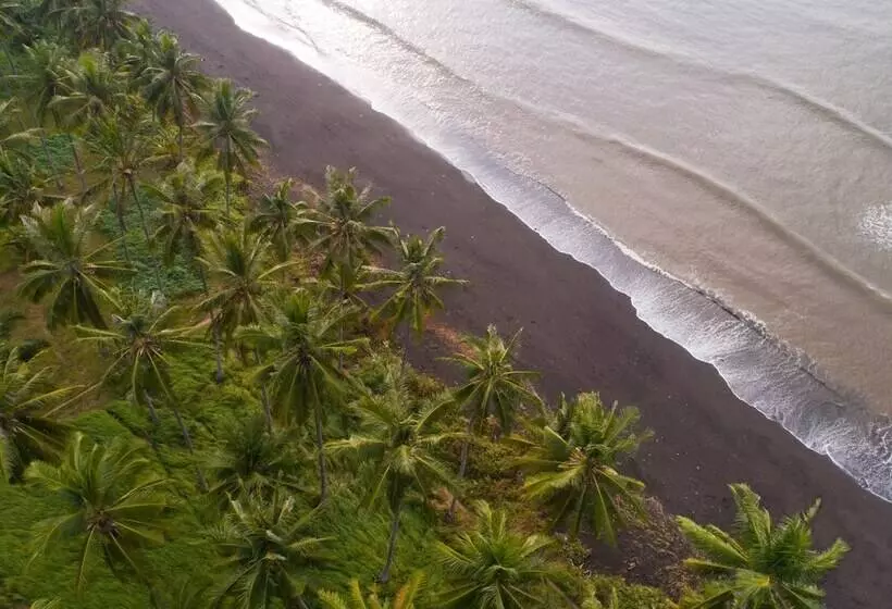 هتل Dialoog Banyuwangi