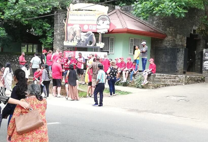 Hotel Elephant Lobby