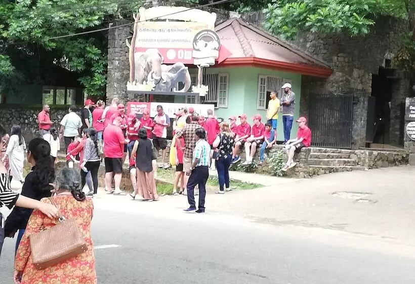 Hotelli Elephant Lobby