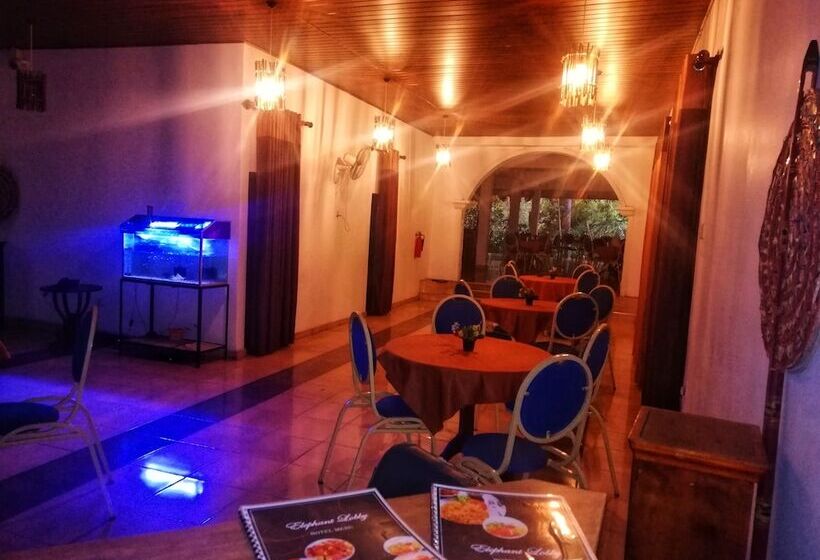 Hotel Elephant Lobby