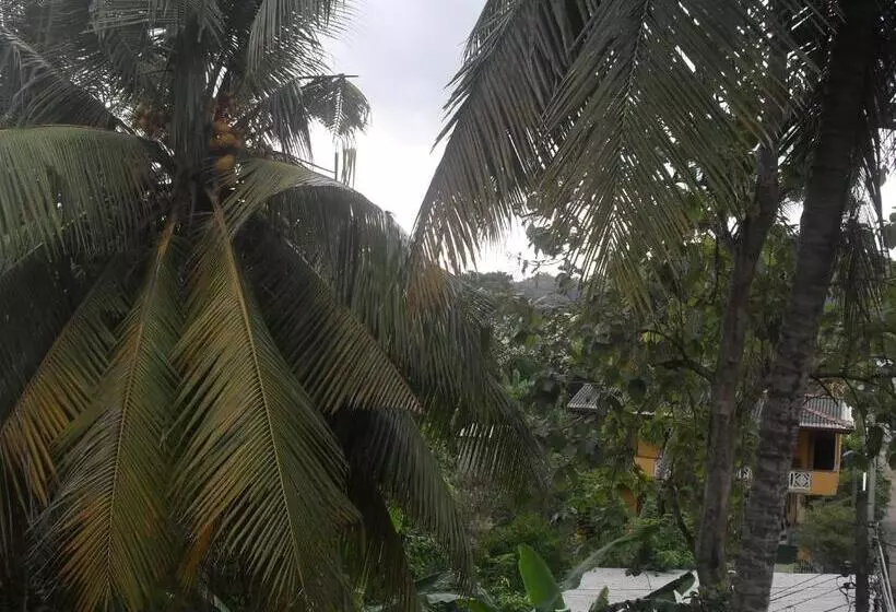 Hotelli Elephant Lobby