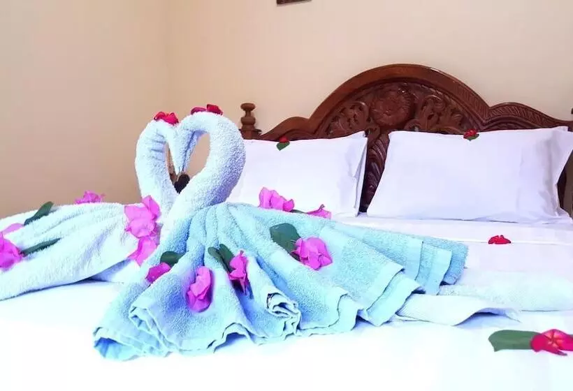 پانسیون Cozy Corner
