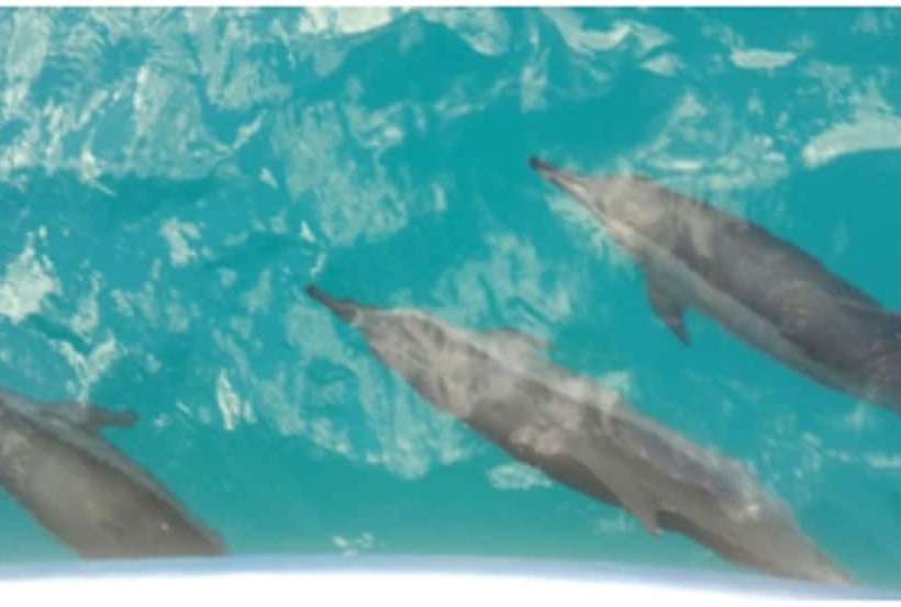 Hotel Pousada Casa Berna