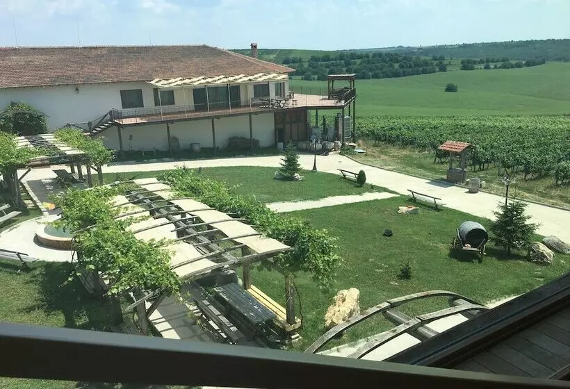 ホテル Seven Generations Winery