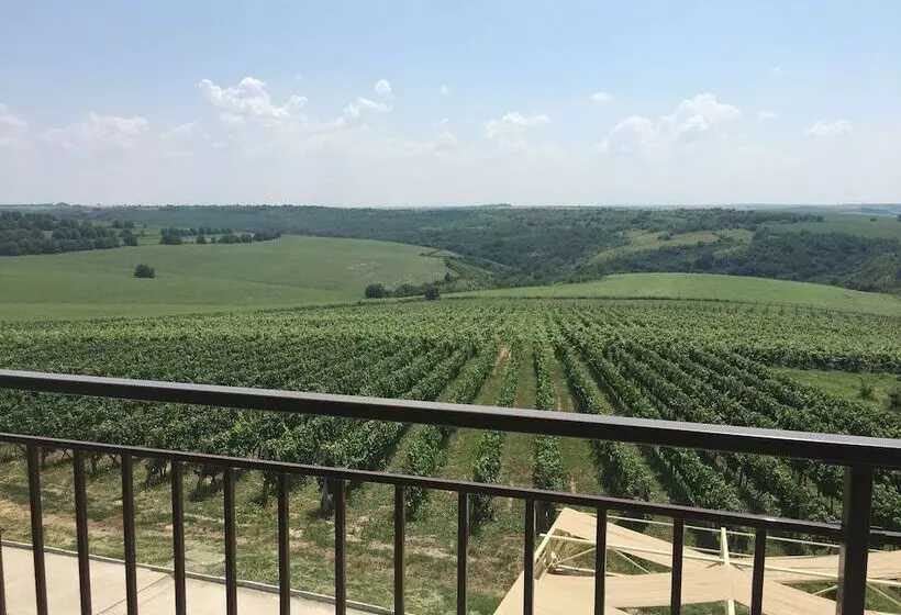 ホテル Seven Generations Winery