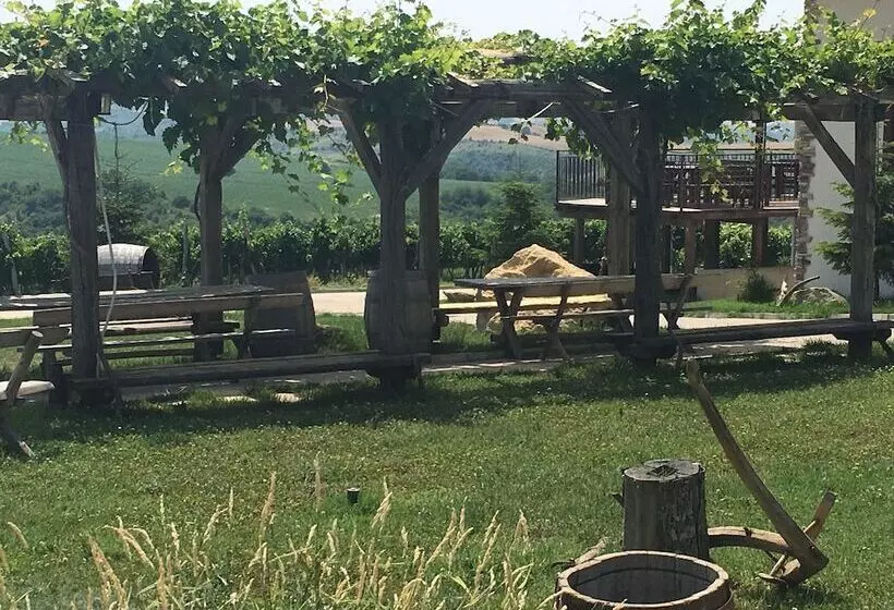 ホテル Seven Generations Winery