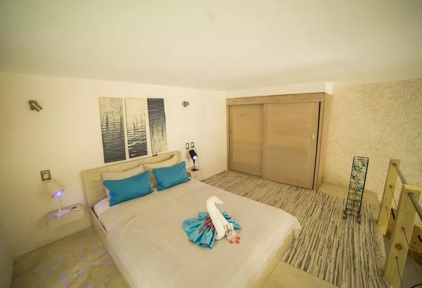 Loft Paraiso