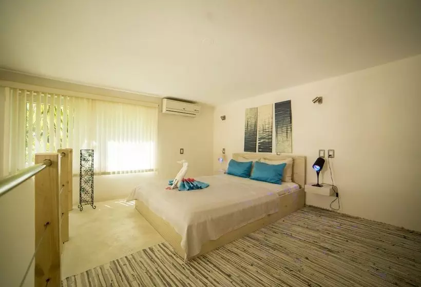 Loft Paraiso