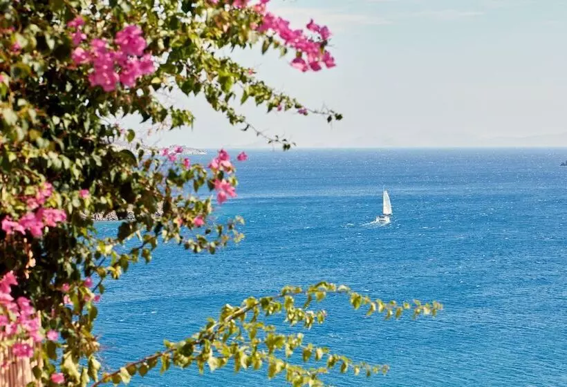 Patmos Eye Boutique Hotel & Villas