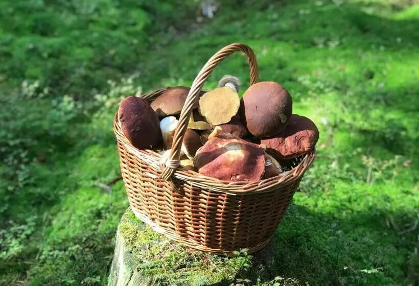 پانسیون Miekkalan Aitat