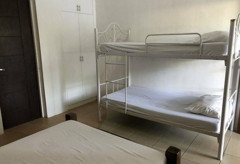 Zacona Eco Resort And Biblical Garden