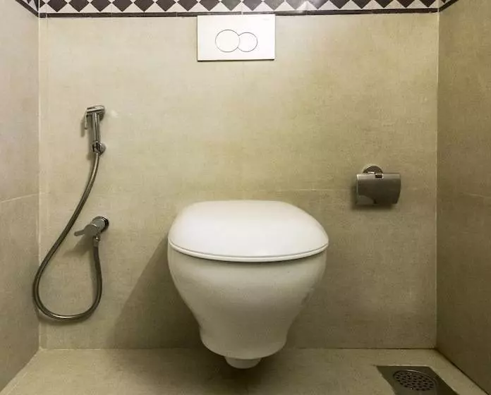 Accovah Galeria