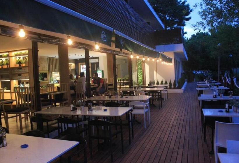 Aqvatonic Hotel   Steaua De Mare