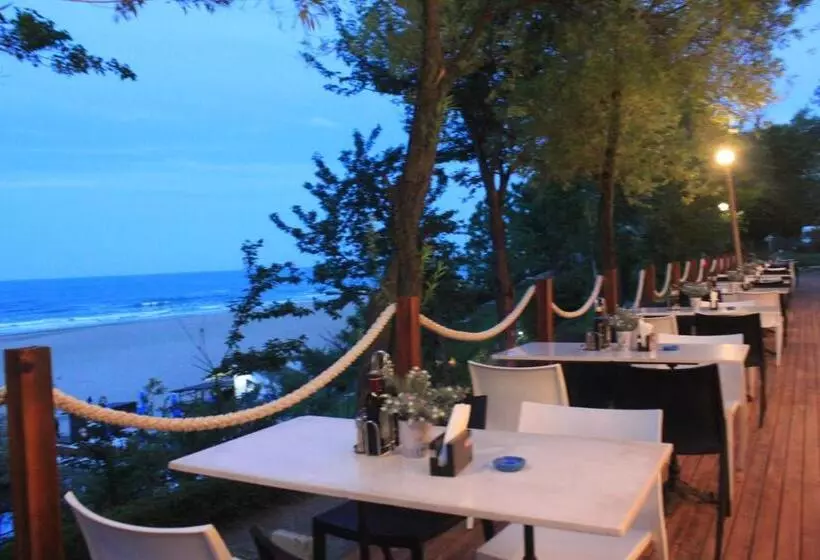 Aqvatonic Hotel   Steaua De Mare