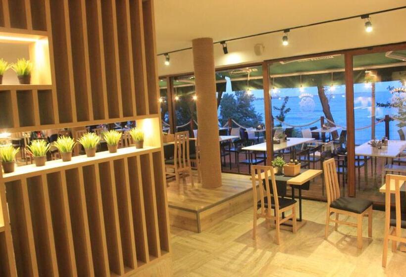 Aqvatonic Hotel   Steaua De Mare