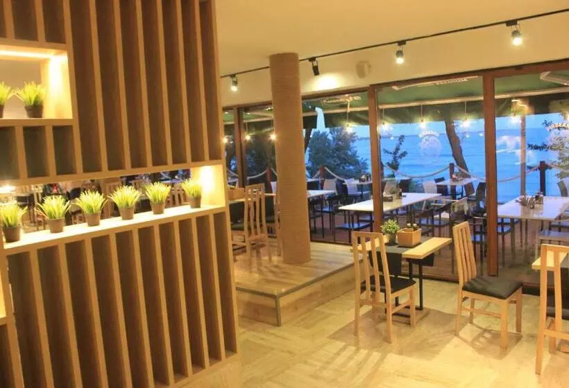 Aqvatonic Hotel   Steaua De Mare