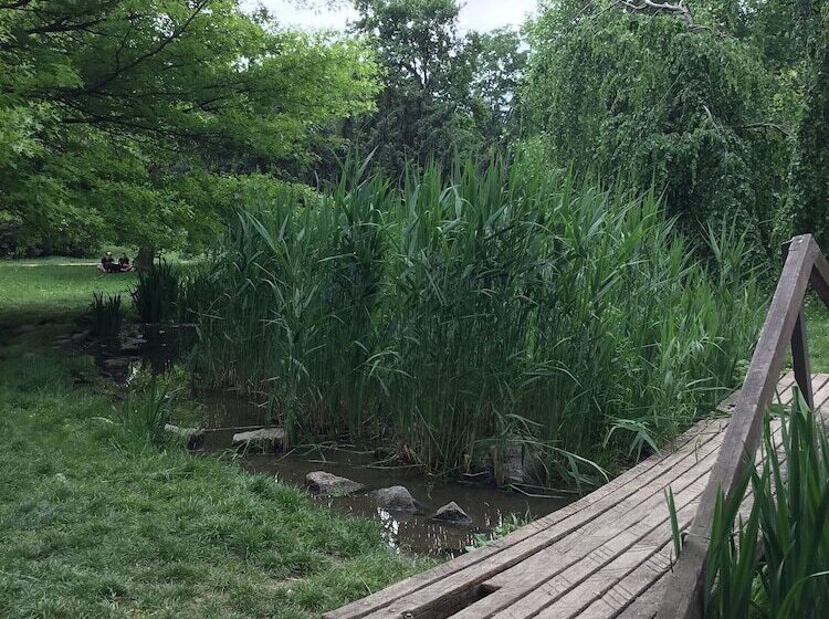 Euro Apartments Lidická 39 Brno