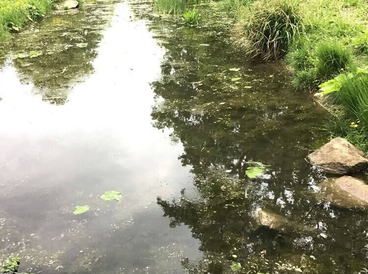 Euro Apartments Lidická 39 Brno