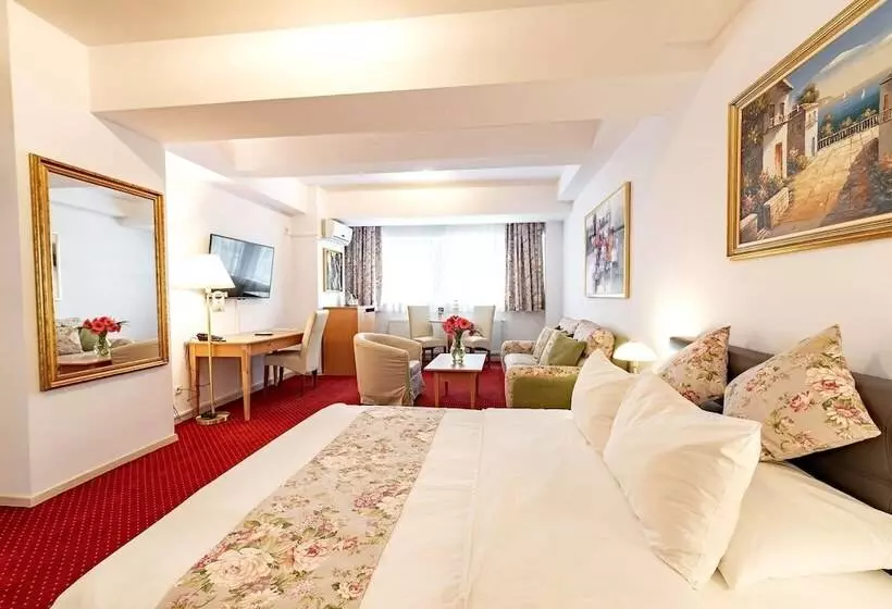 Hotel Bucur Accommodation