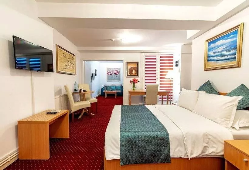 Hotel Bucur Accommodation