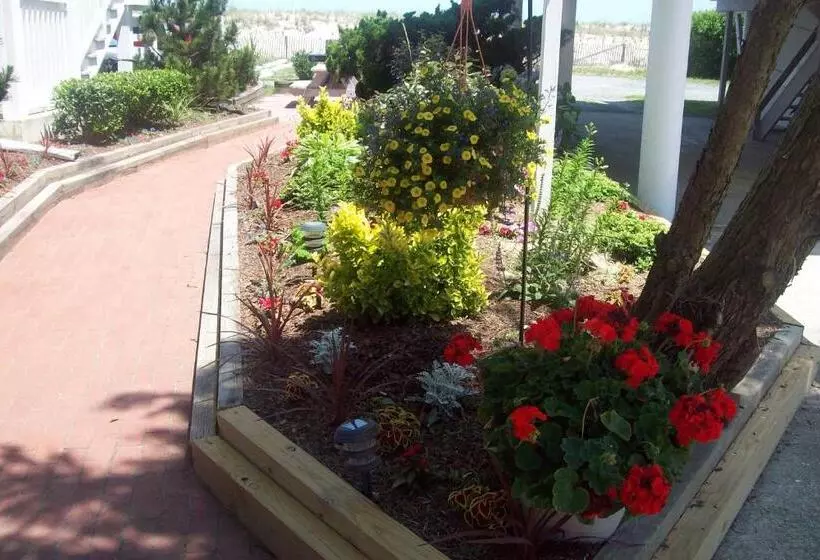 Adams Ocean Front Resort