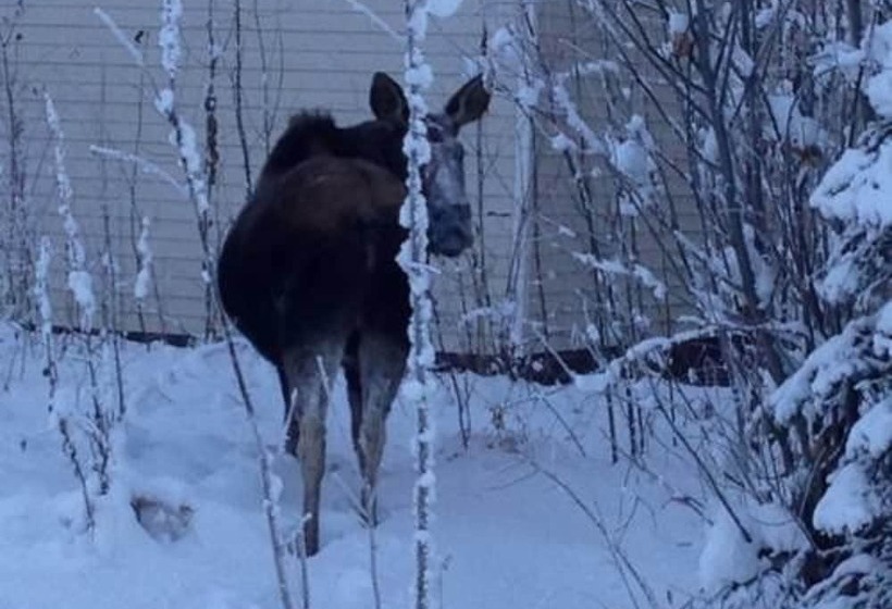 Otel 7 Gables Inn & Suites