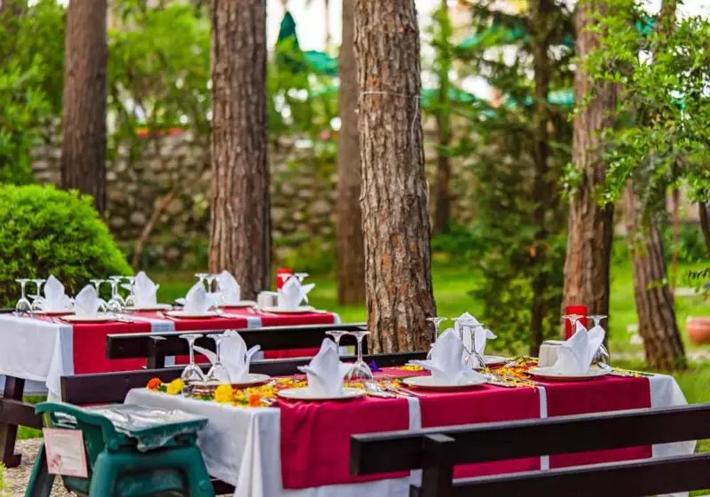 Отель Gypsophila Club Marine