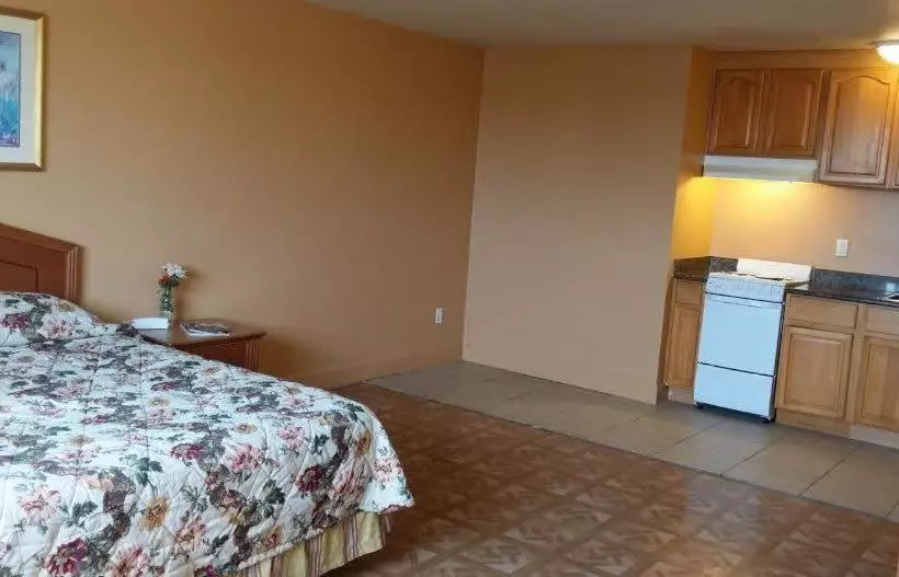 Отель Econostudios