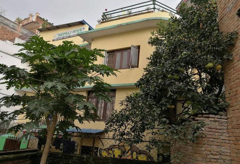 مبيت وإفطار The Nepali Hive