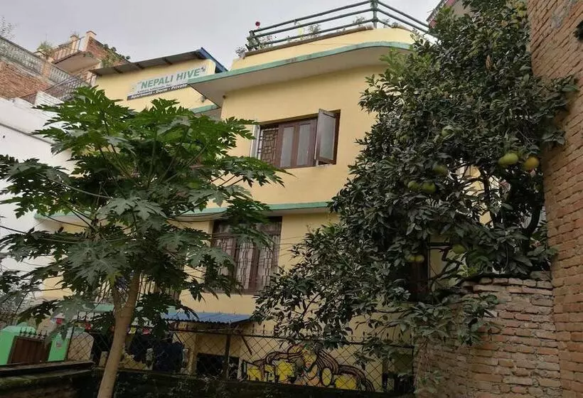 تختخواب و صبحانه The Nepali Hive