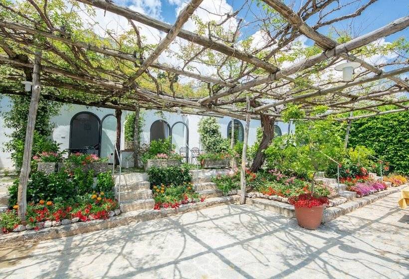 Отель Villa Amore