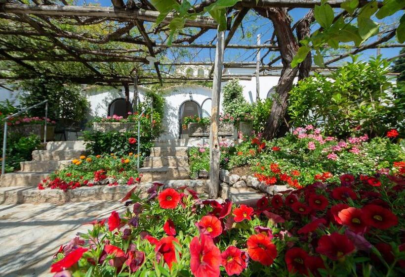 Отель Villa Amore