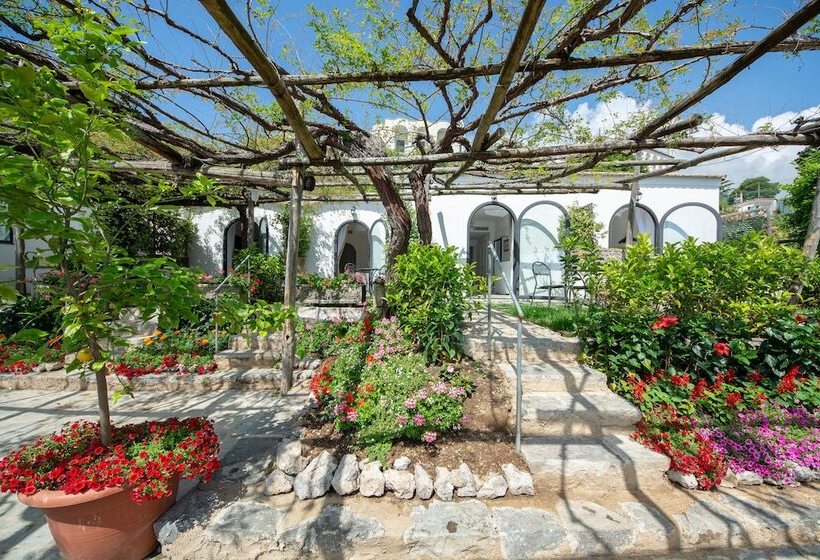 Отель Villa Amore