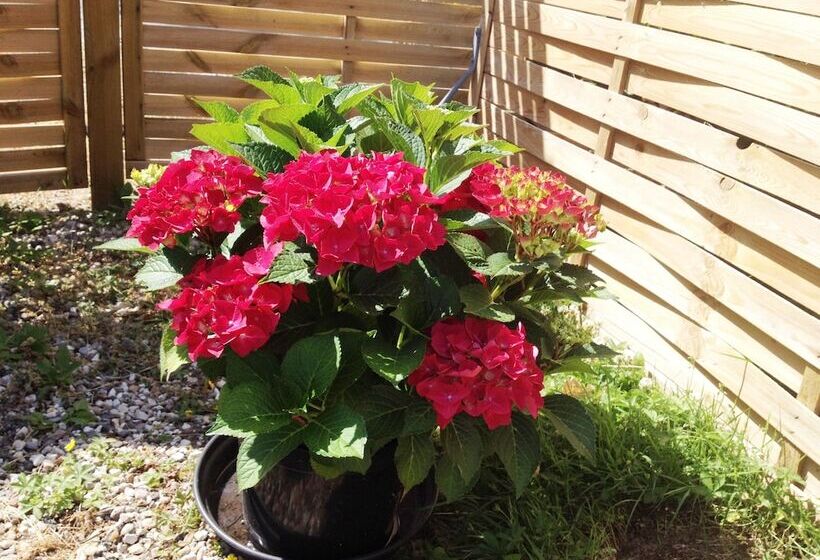 Pensão Hine Bakke Bed And Breakfast