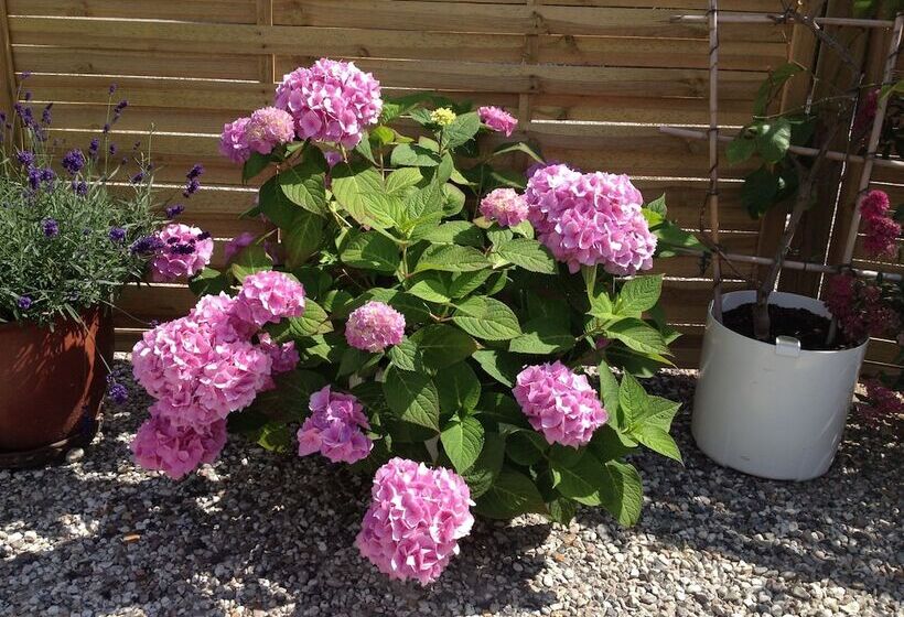 Pensão Hine Bakke Bed And Breakfast