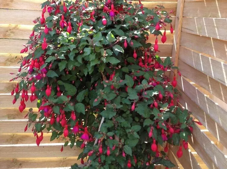 Majatalo Hine Bakke Bed And Breakfast