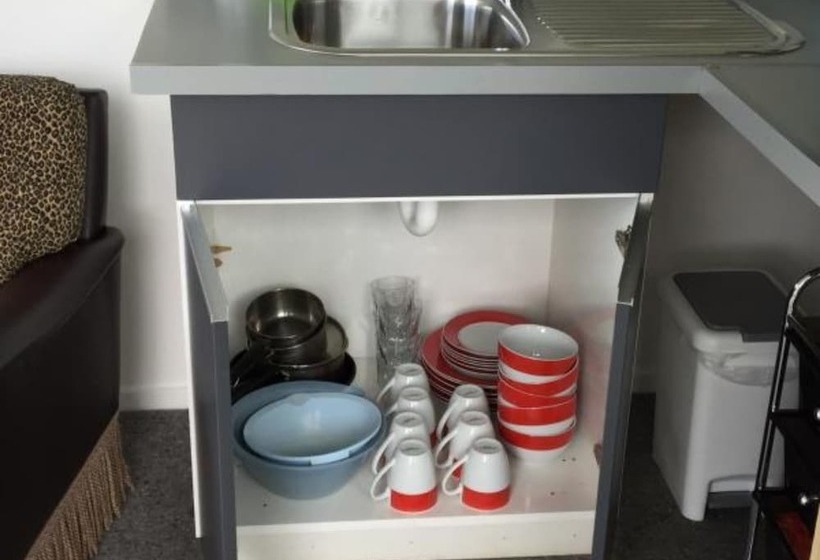 פנסיון Kokatahi Valley Country Inn