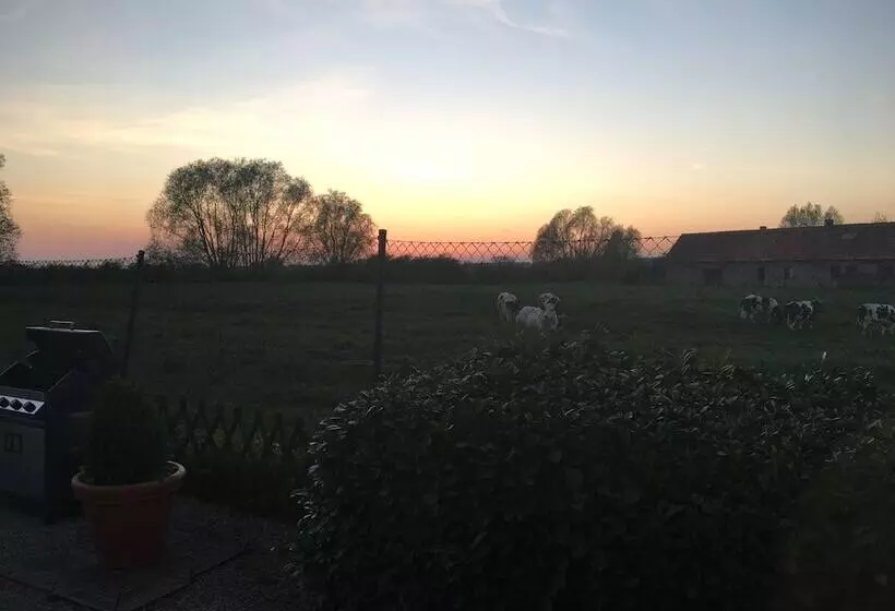 Aamiaismajoitus (B&B) T Wolvennest