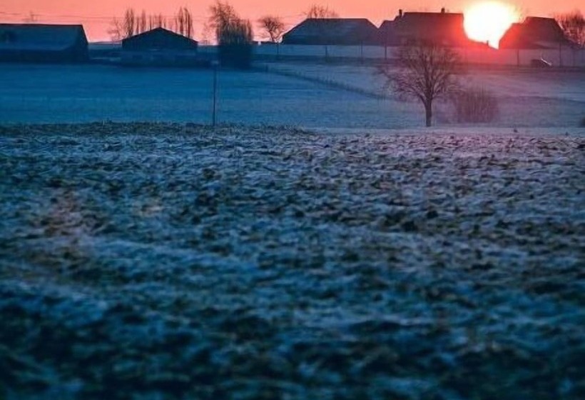 ベッドアンドブレックファースト T Wolvennest