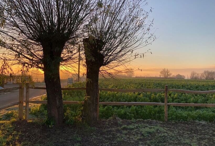 ベッドアンドブレックファースト T Wolvennest