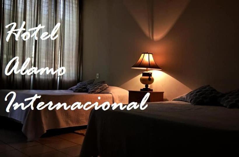 Отель Alamo Internacional