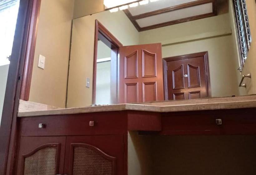 Отель Alamo Internacional