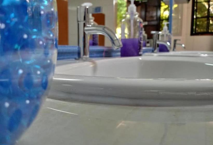 Отель Alamo Internacional