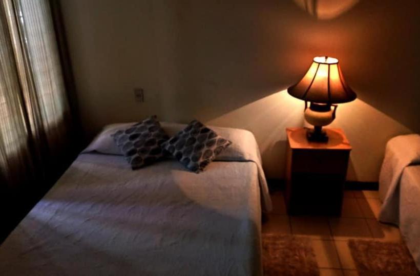 Отель Alamo Internacional