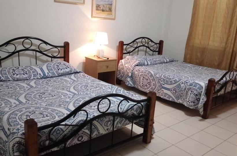 Отель Alamo Internacional