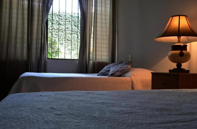 Отель Alamo Internacional