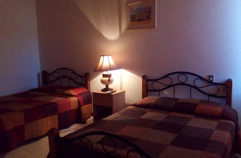 Отель Alamo Internacional